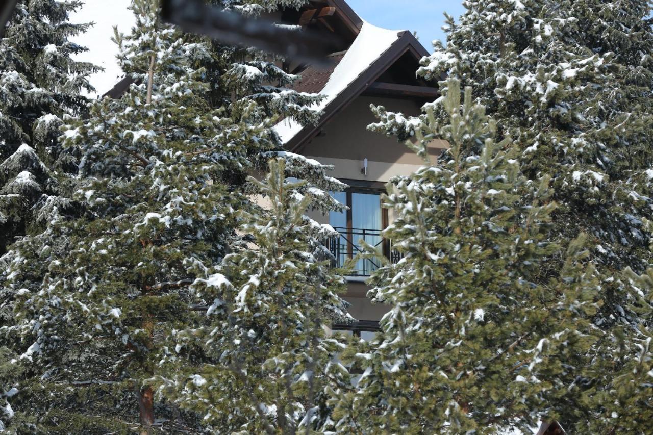 Mipet Apartmani Zlatibor Luaran gambar